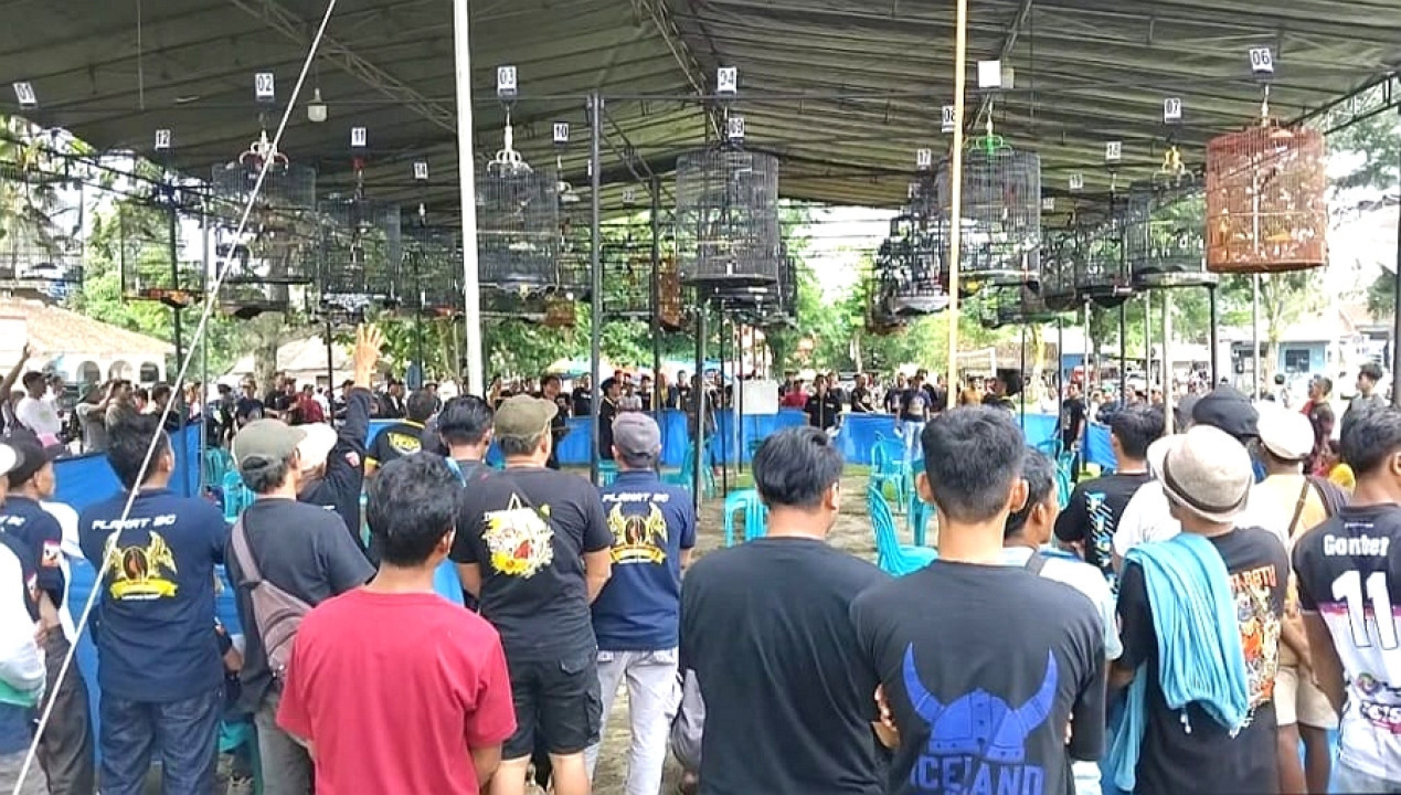 Polres Tanggamus dan GRANAT Gelar Lomba Burung Berkicau 
