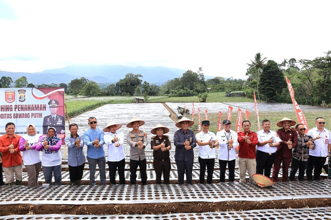 Lampung Barat Disiapkan Jadi Sentra Bawang Putih, Parosil Mabsus: Butuh Upaya Serius