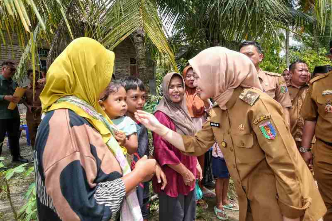 Wagub Lampung Tinjau Lokasi Terdampak Gempa di Tanggamus
