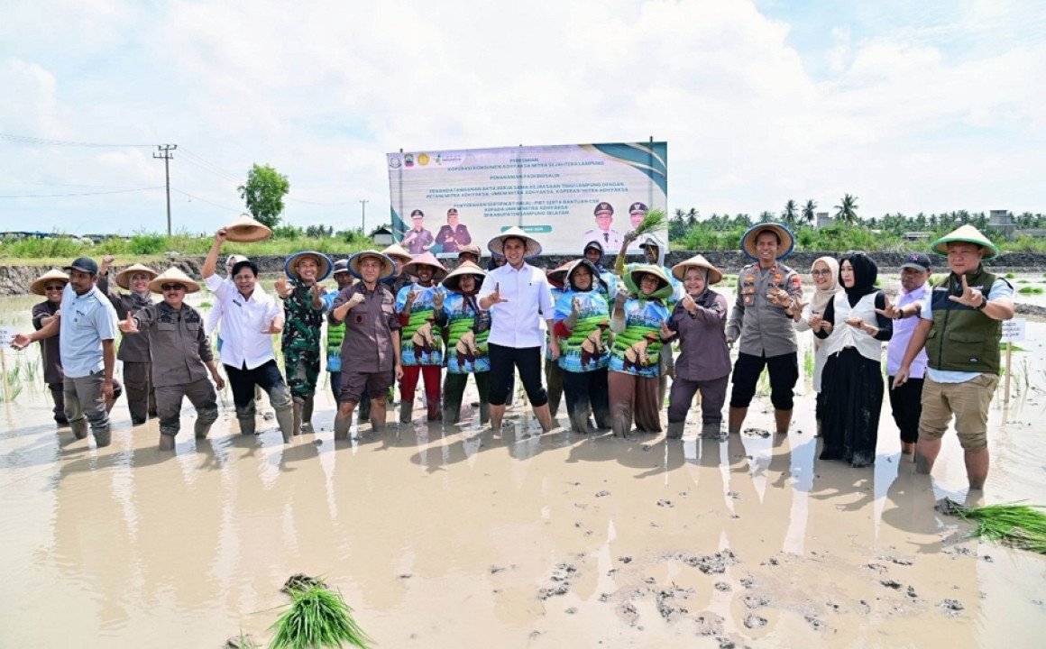 Pemkab Lamsel Bersama Kejati Lampung Kolaborasi Dukung Ketahanan Pangan