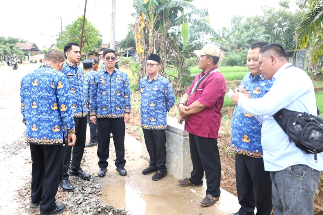 Pemkab Lampung Timur Gerak Cepat Tinjau Jembatan Ambles di Purbolinggo