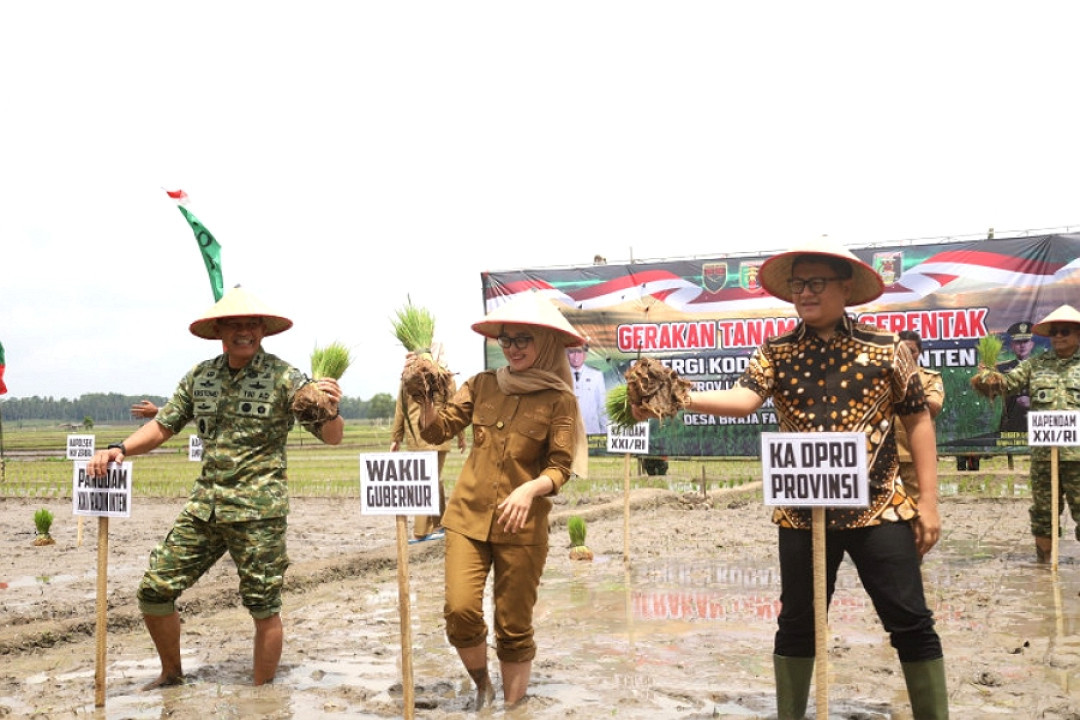 Gerakan Tanam Padi Serentak di Lampung Timur Perkuat Ketahanan Pangan