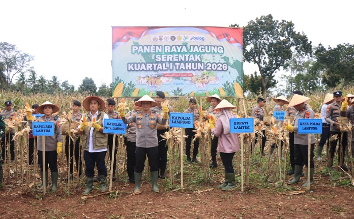 Kapolda Lampung Pimpin Panen Raya Jagung Kuartal IV, Produksi Tembus 86 Ribu Ton