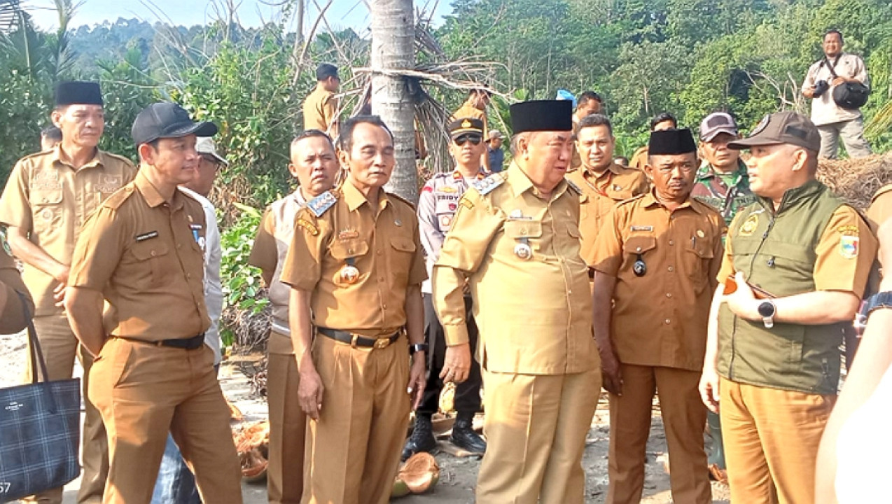 TG-12.jpg